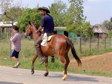 2004 Cuba, Maria la Gorda - Cayo Levisa, DSC00608 B_B720